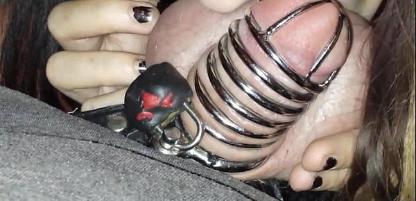  chastity cage